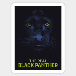 The Real Black Panther Graphic Art Sticker